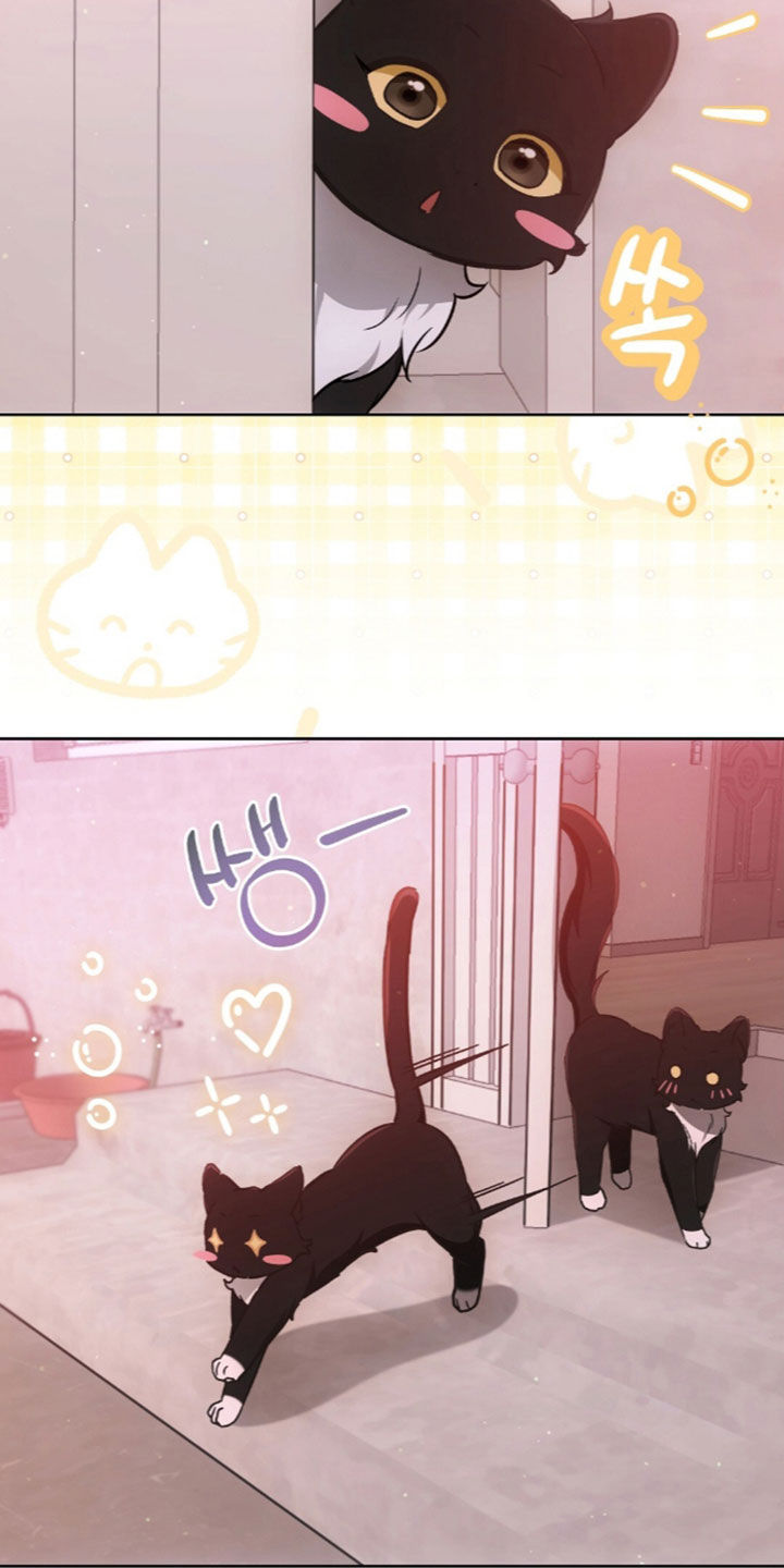 我的黑猫少年漫画,第67章：没有戒备心2图