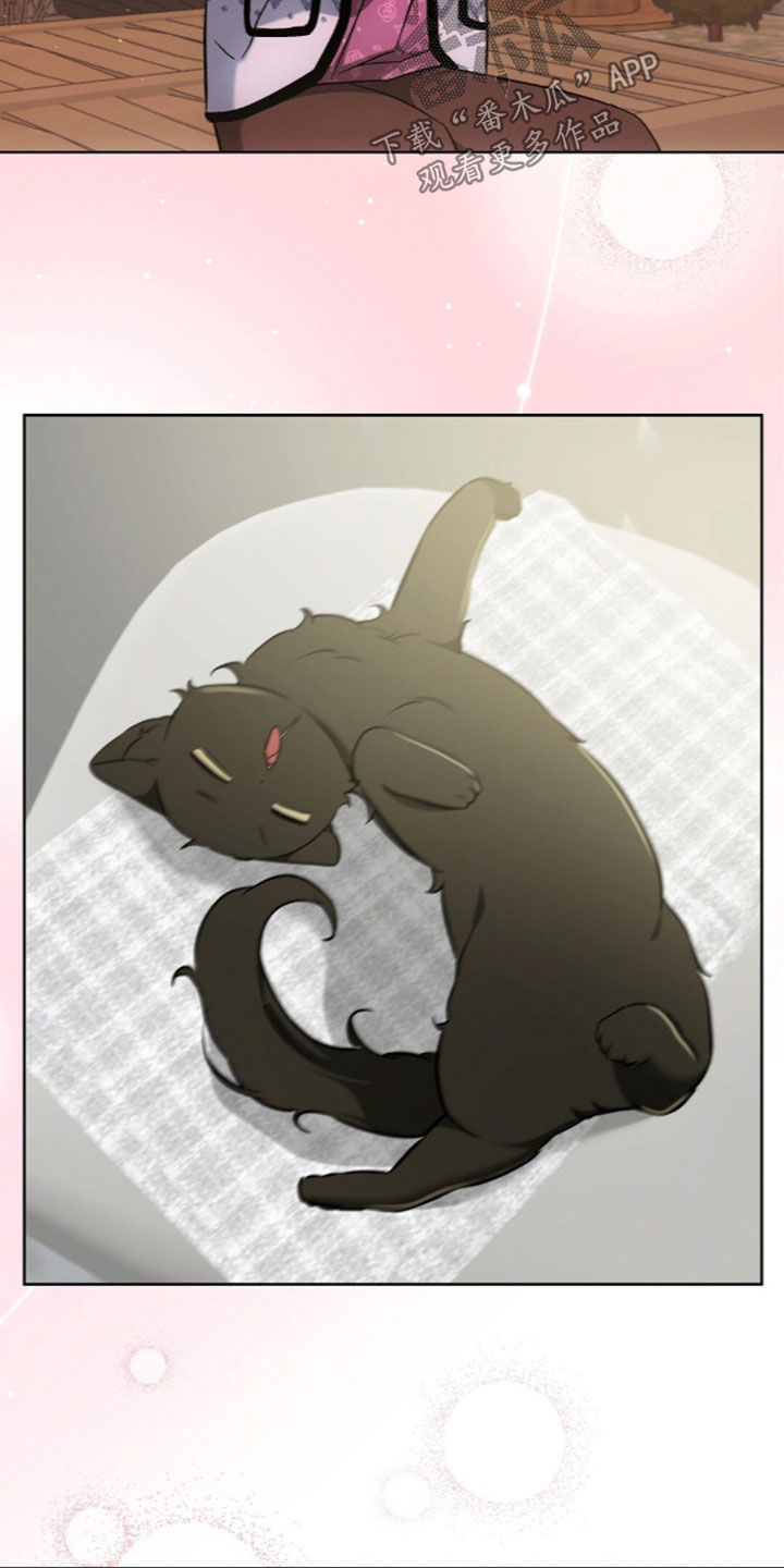 我的黑猫少年漫画,第68章：离开我的领域5图