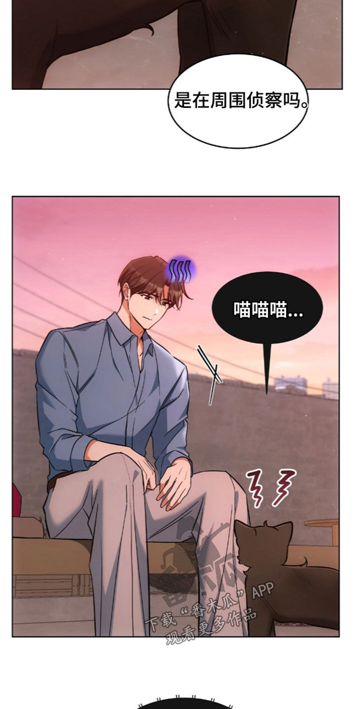 我的黑猫少年漫画,第68章：离开我的领域5图