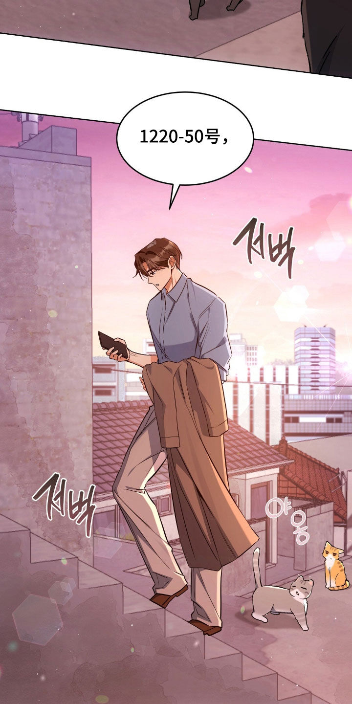 我的黑猫少年漫画,第65章：没办法装傻3图
