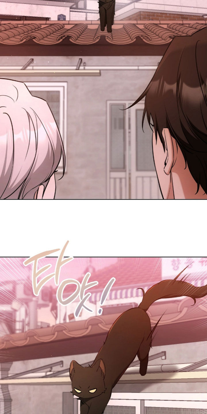 我的黑猫少年漫画,第68章：离开我的领域2图