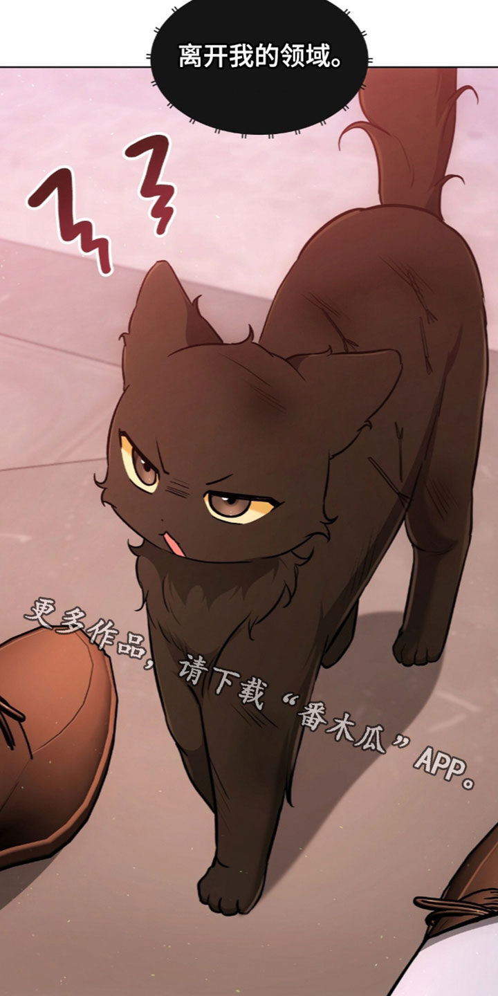 我的黑猫少年漫画,第68章：离开我的领域1图