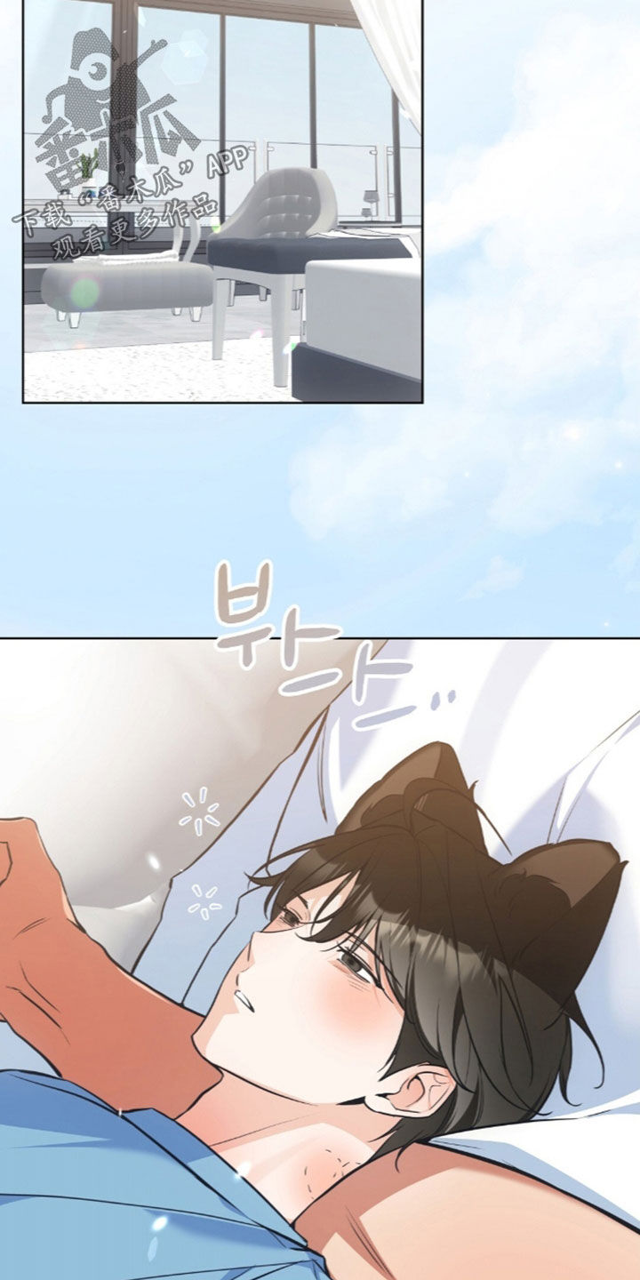 动画我的黑猫男友动漫观看完整版漫画,第61章：无法控制5图