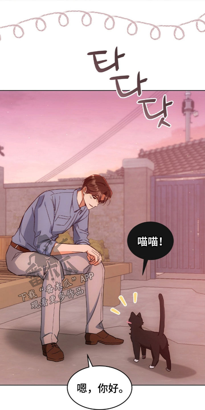 我的黑猫少年漫画,第67章：没有戒备心3图