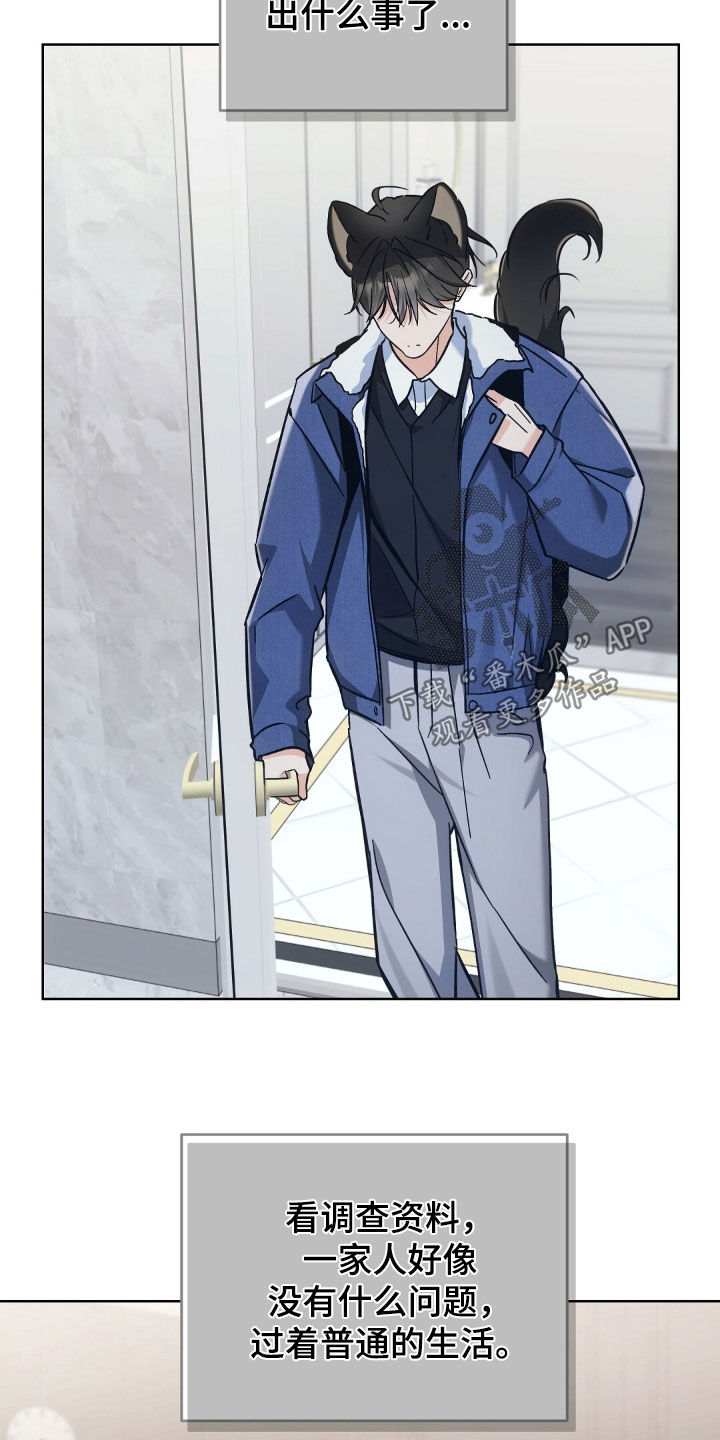 我的黑猫少年漫画,第64章：我得回家1图