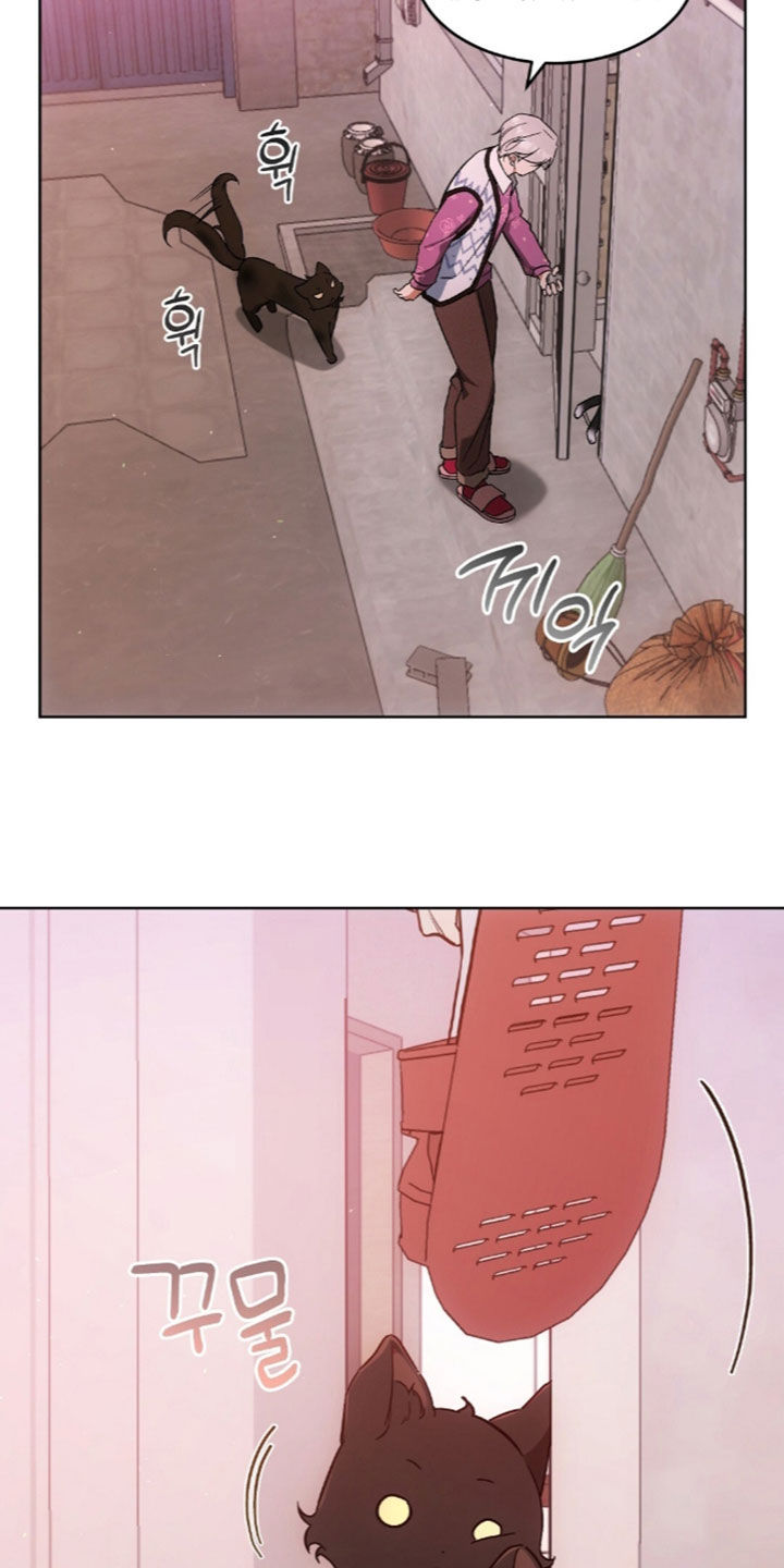 我的黑猫少年漫画,第68章：离开我的领域5图