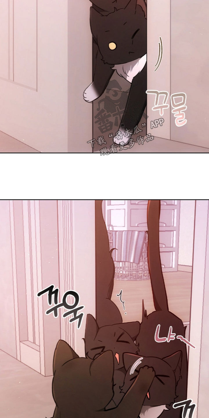 我的黑猫少年漫画,第68章：离开我的领域1图