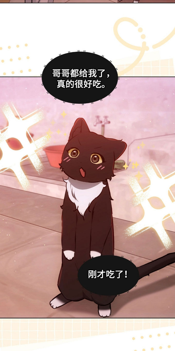 我的黑猫少年漫画,第67章：没有戒备心4图