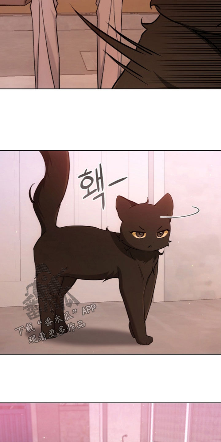 我的黑猫少年漫画,第68章：离开我的领域3图