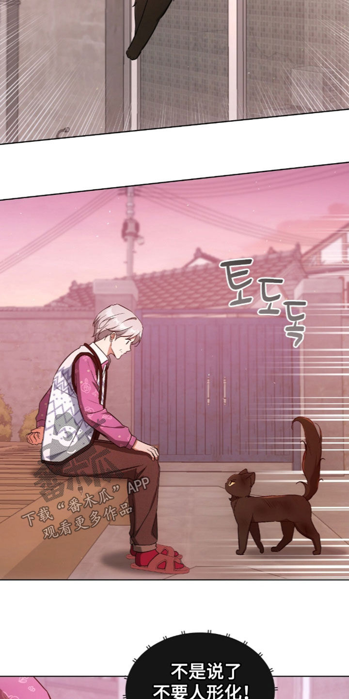 我的黑猫少年漫画,第68章：离开我的领域3图