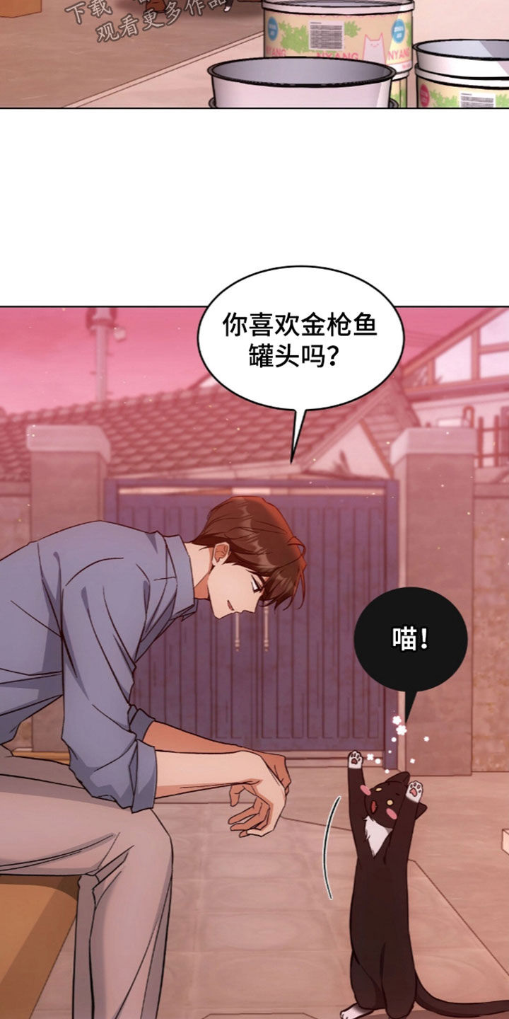 我的黑猫少年漫画,第67章：没有戒备心3图