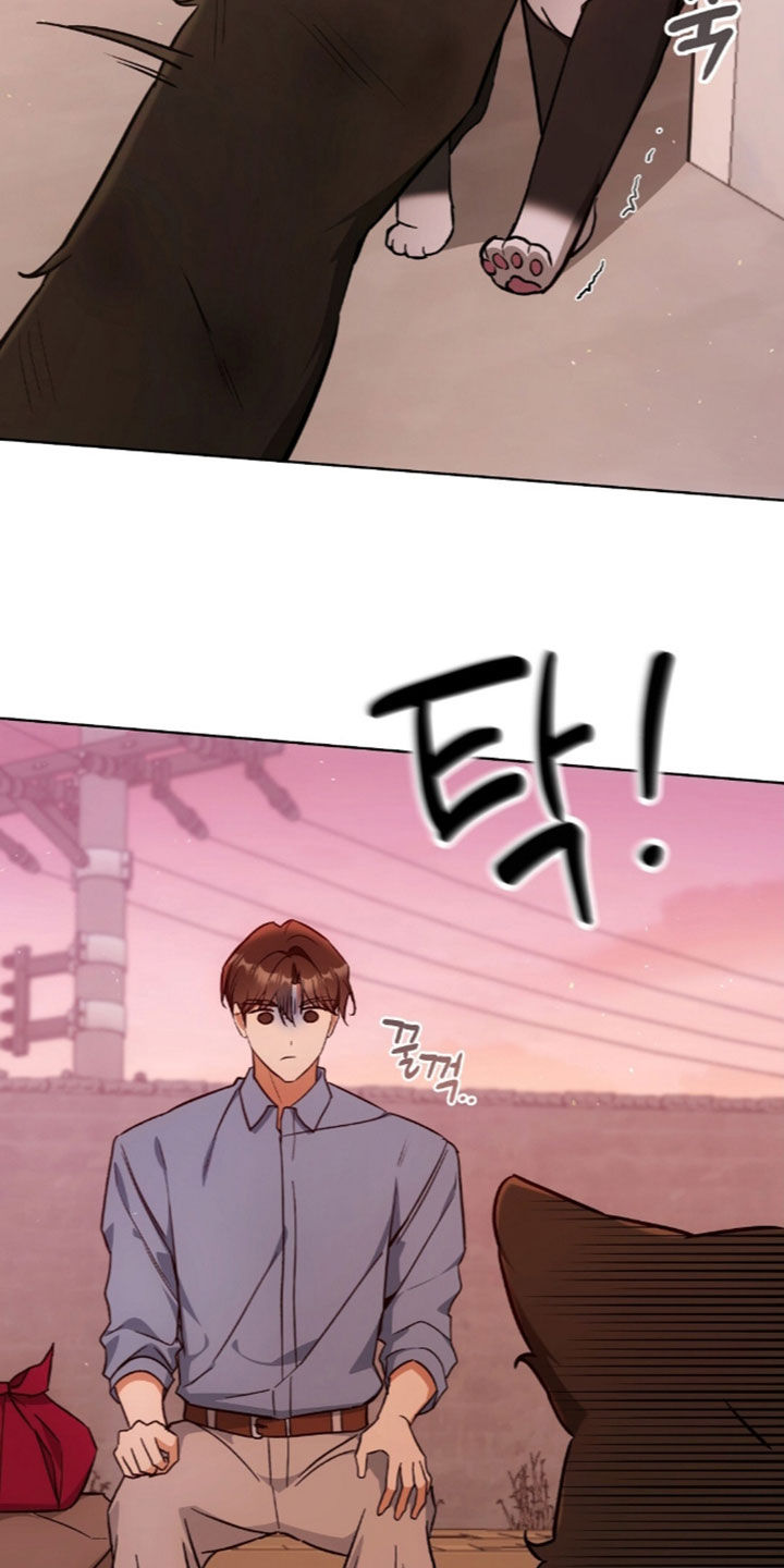 我的黑猫少年漫画,第68章：离开我的领域2图