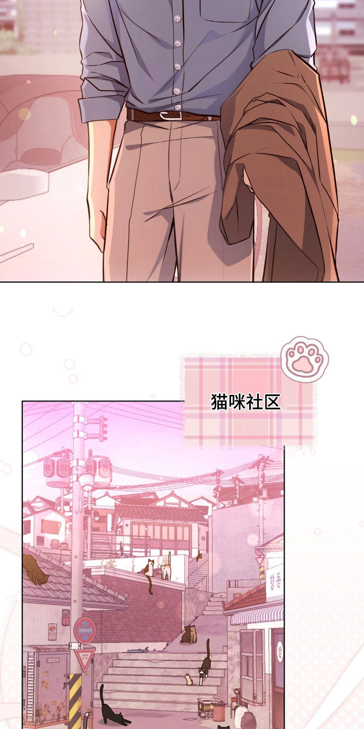 我的黑猫少年漫画,第65章：没办法装傻1图