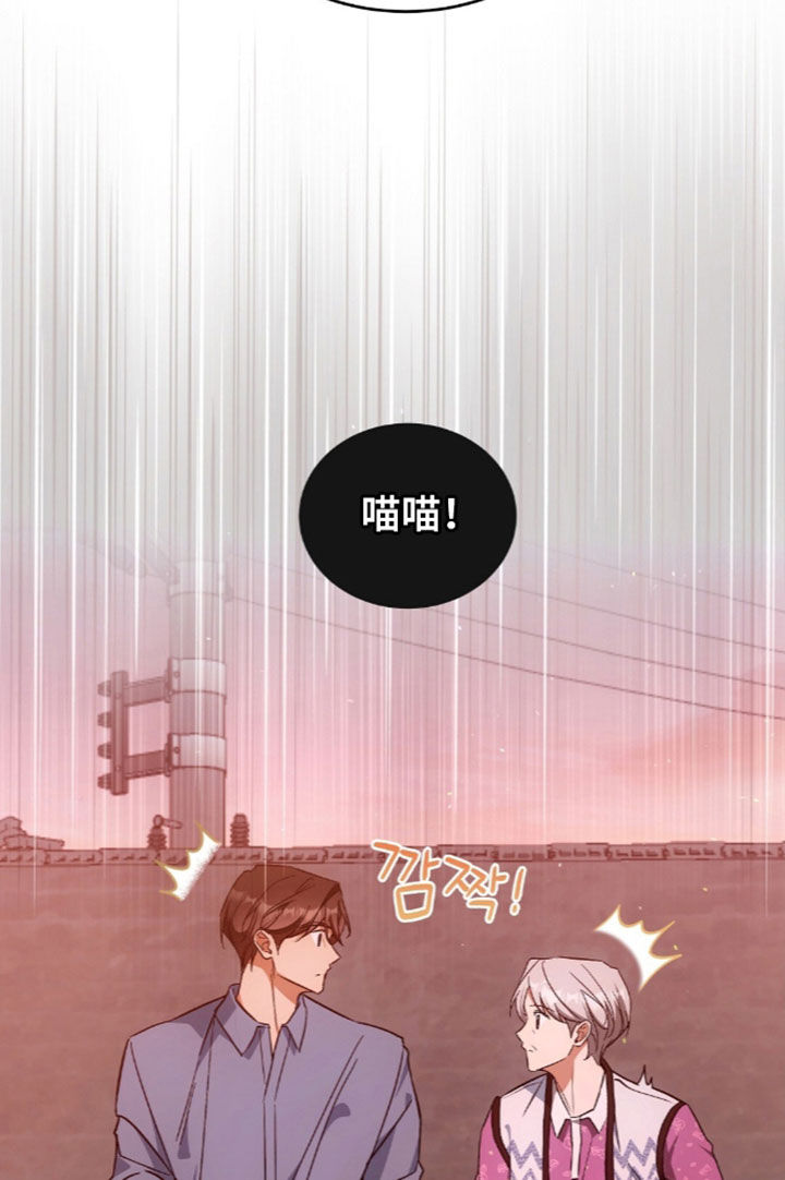 我的黑猫少年漫画,第68章：离开我的领域5图