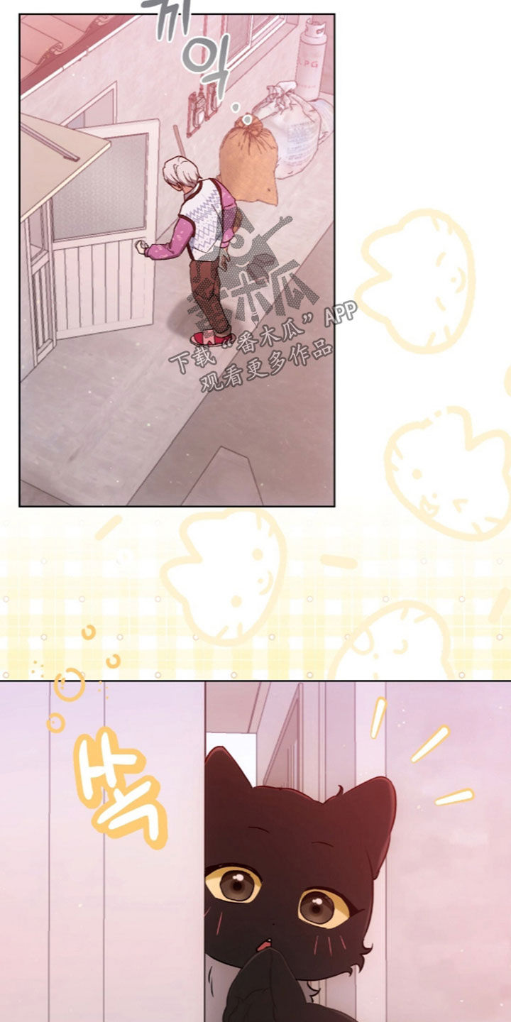 我的黑猫少年漫画,第67章：没有戒备心1图