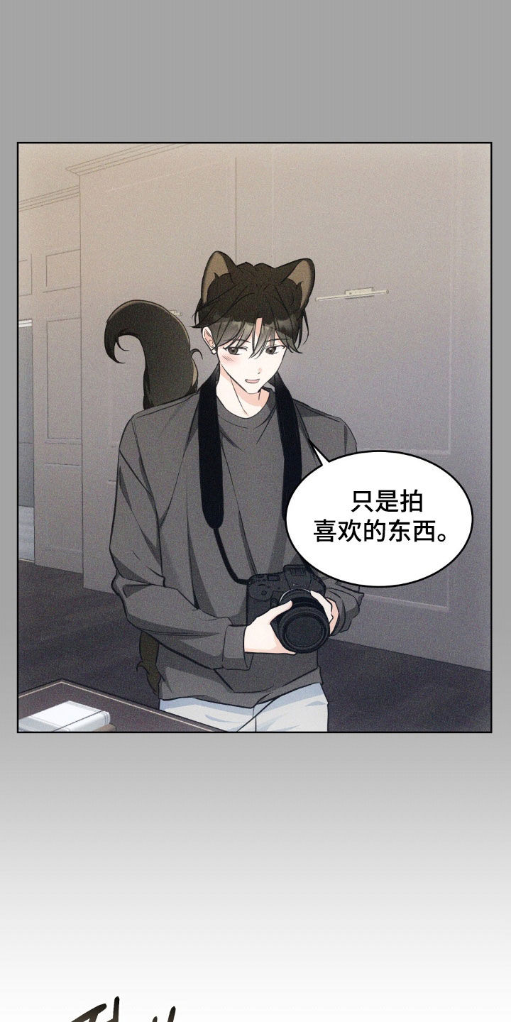 我的黑猫少年漫画,第65章：没办法装傻2图