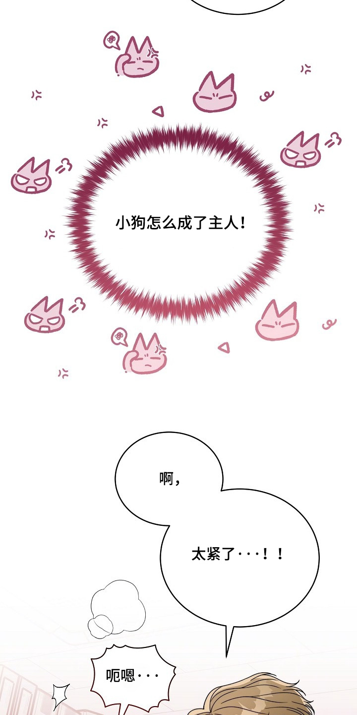 拜金王子漫画,第62章：什么都行5图