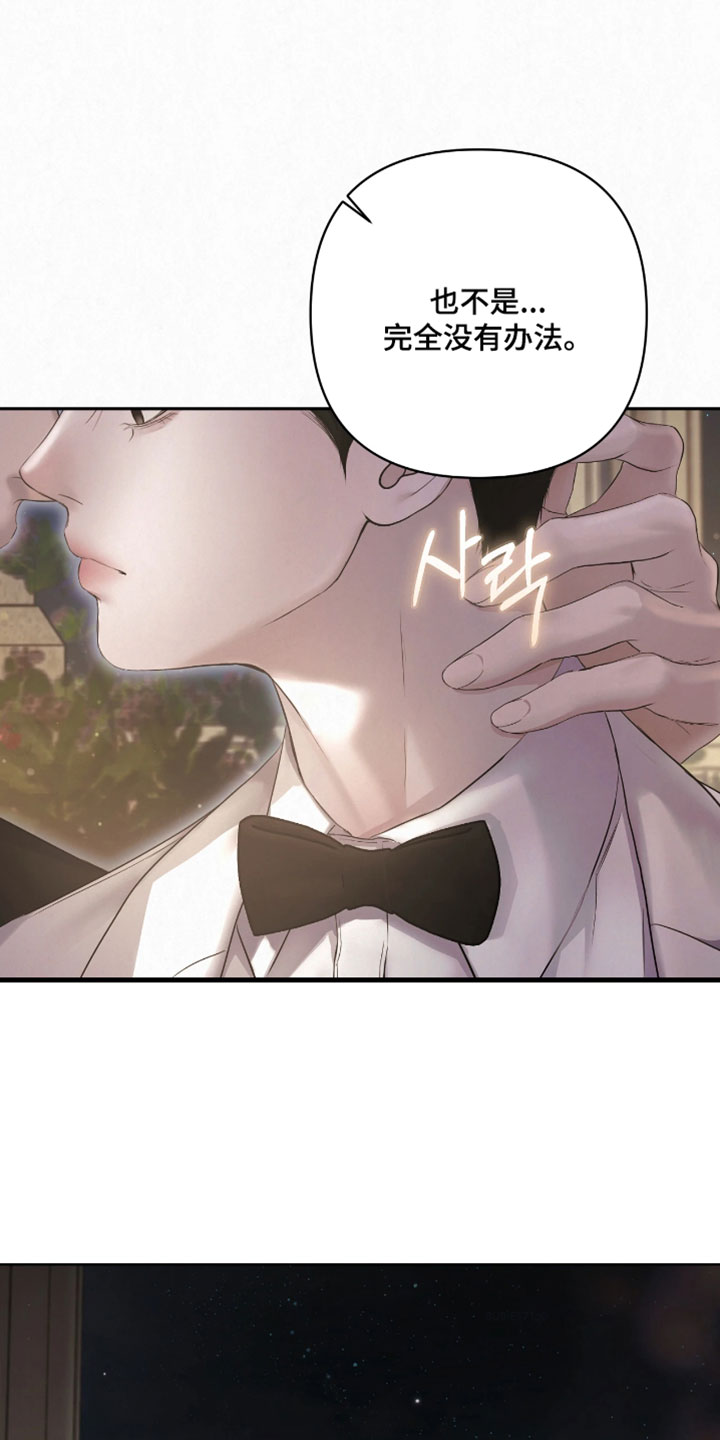 黄金阿尔法漫画,第53章：也不是没有办法4图