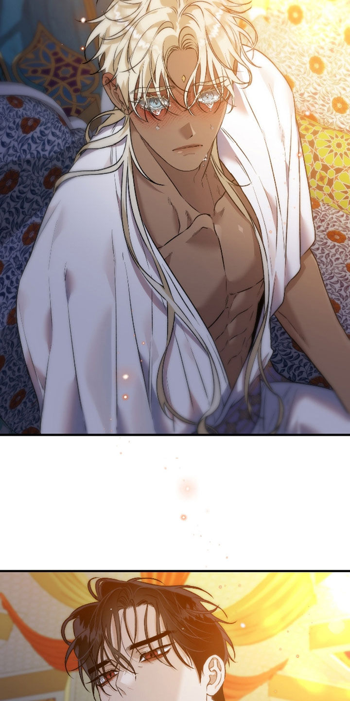 白夜的花路漫画,第62章：不想夫人受伤5图