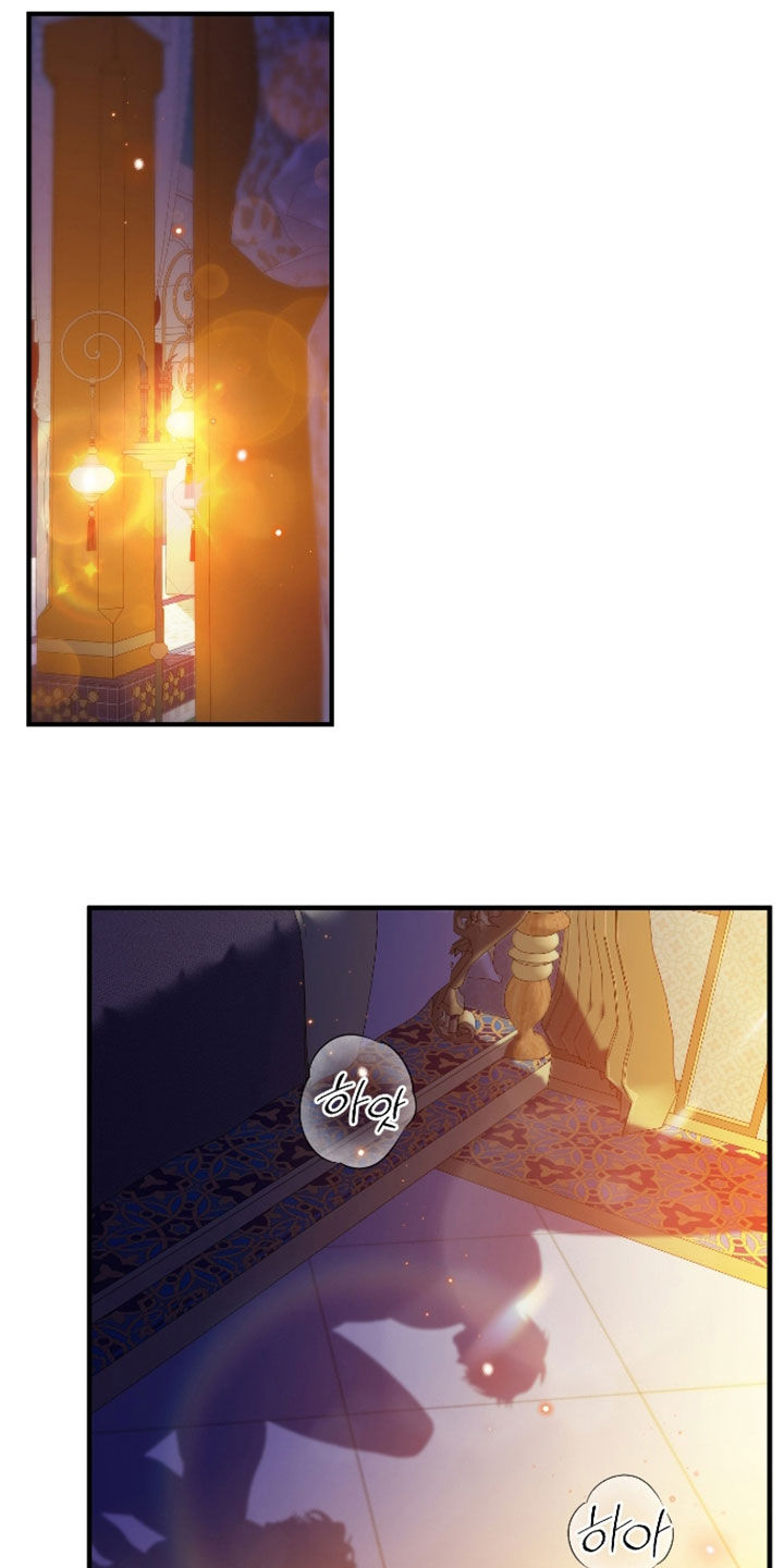 白夜的花路漫画,第63章：我想看3图