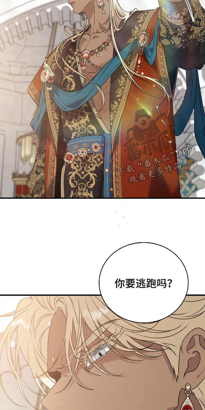 白夜的花路漫画,第61章：一定是疯了5图