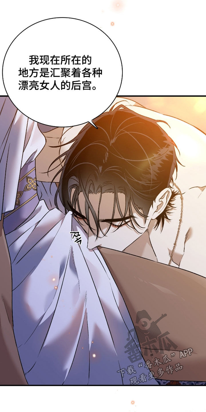 白夜的花路漫画,第62章：不想夫人受伤3图