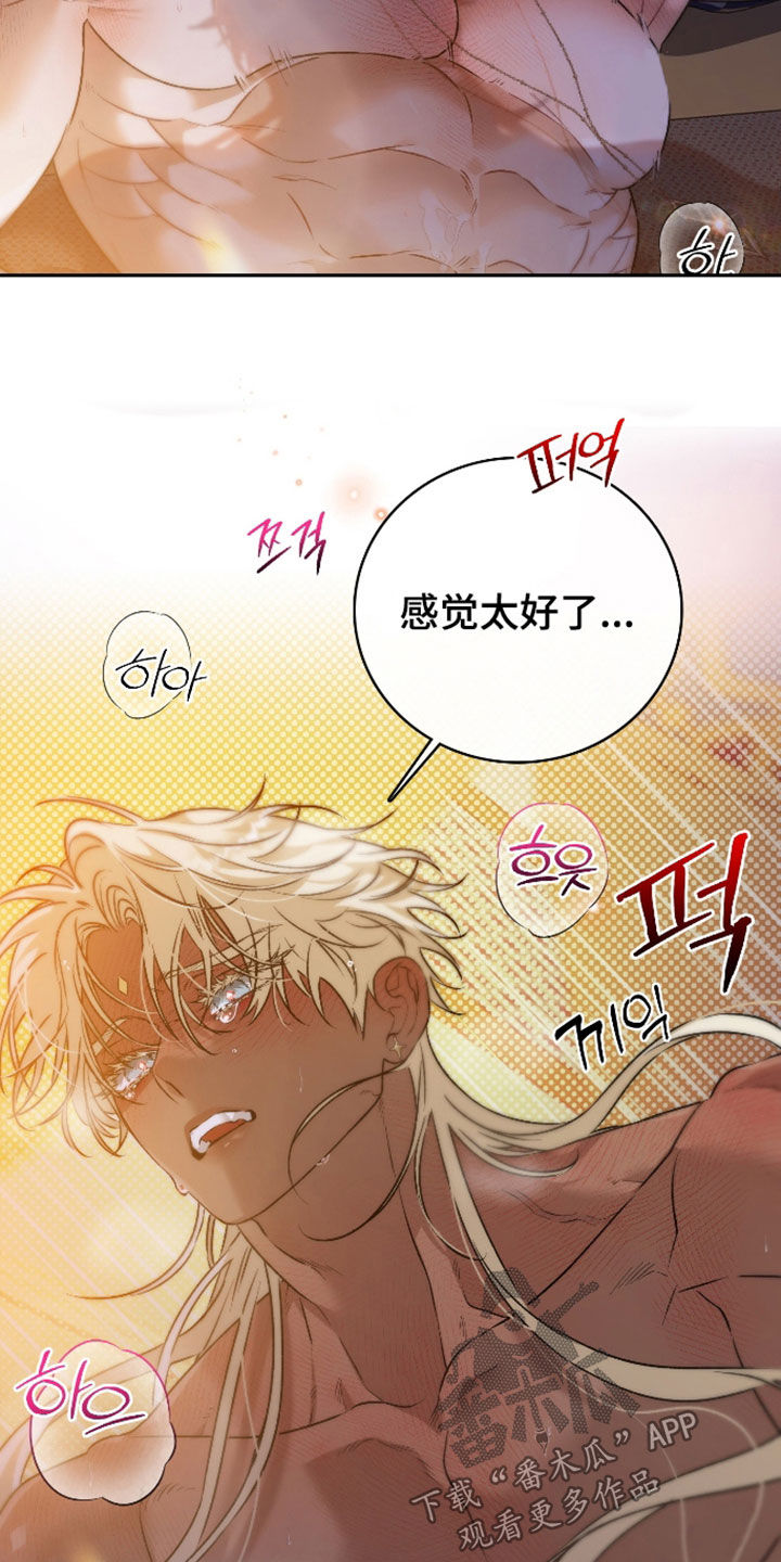 白夜的花路漫画,第64章：都来自于你1图