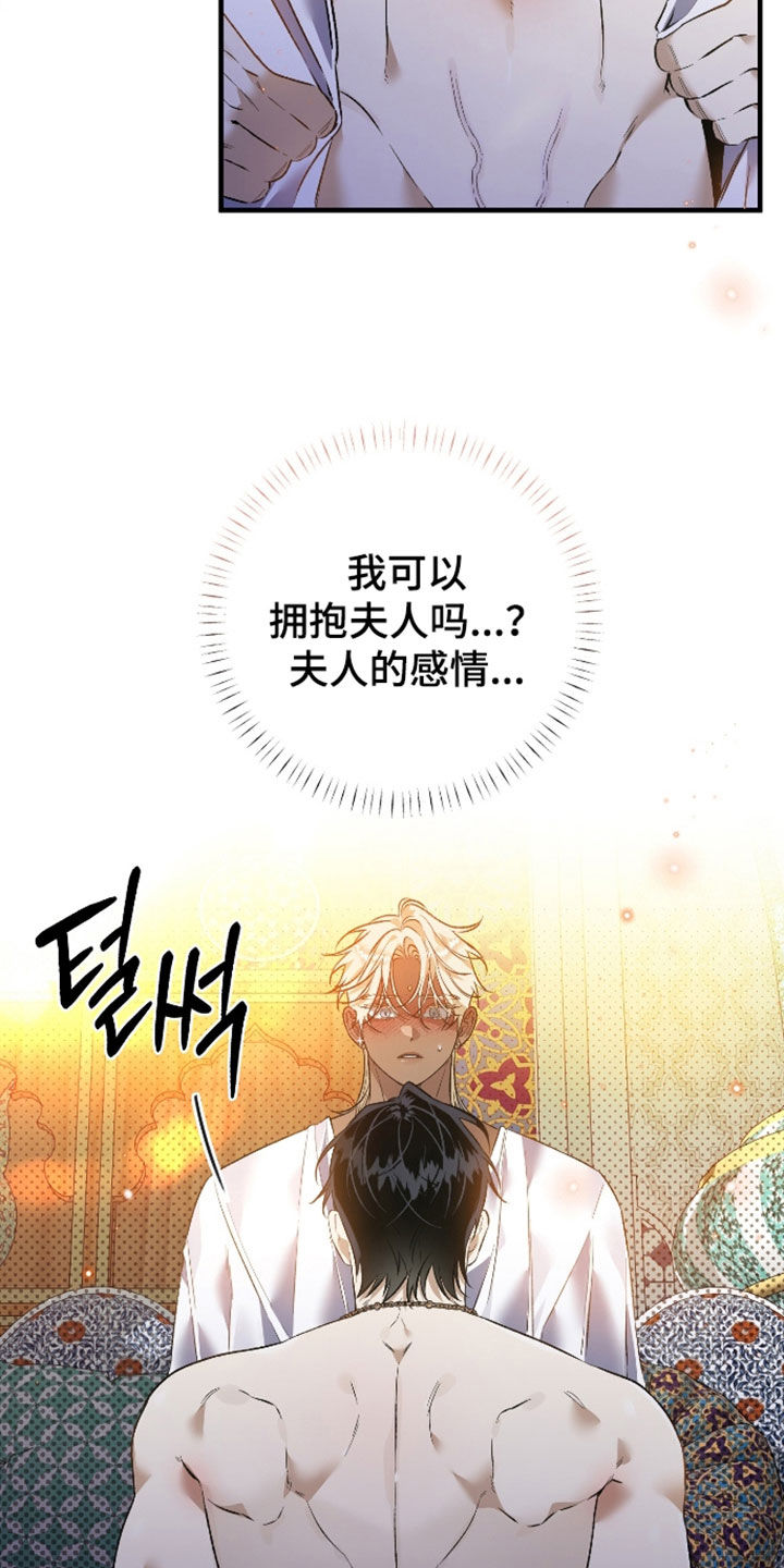 白夜的花路漫画,第62章：不想夫人受伤4图