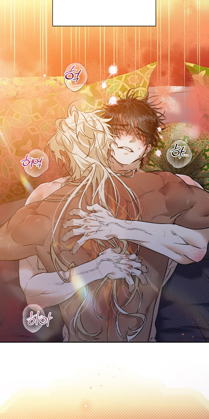 白夜的花路漫画,第64章：都来自于你1图