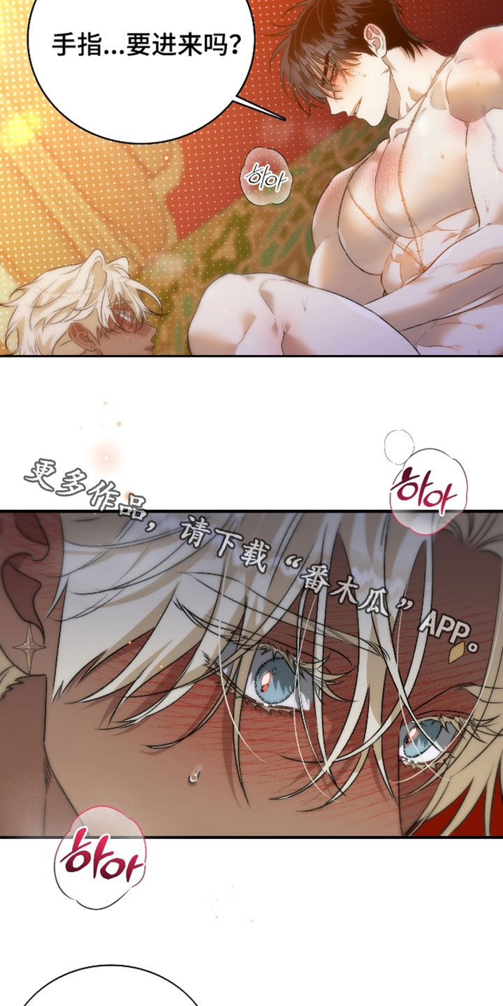 白夜的花路漫画,第63章：我想看1图