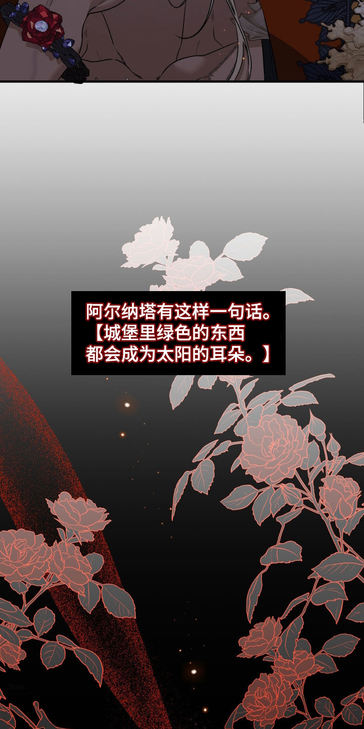 白夜的花路漫画,第59章：必须胜利5图