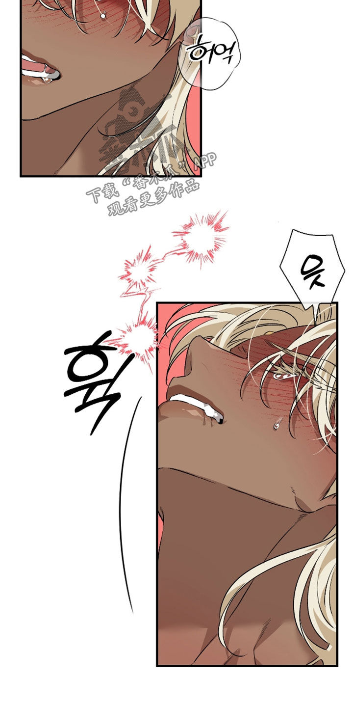 白夜的花路漫画,第63章：我想看5图
