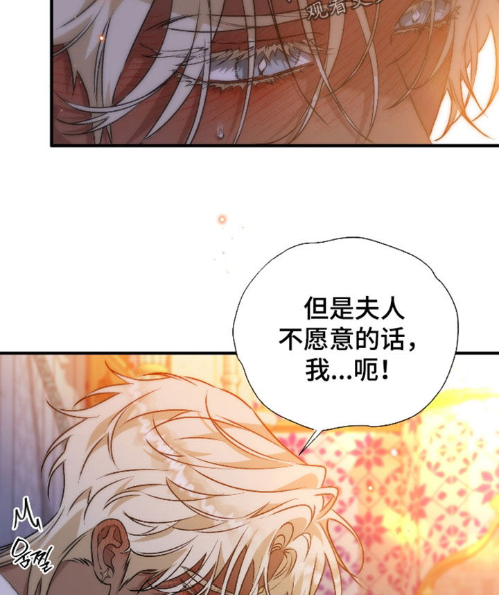 白夜的花路漫画,第62章：不想夫人受伤4图