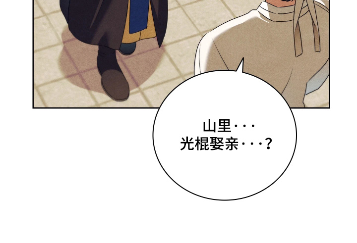 误入螭途漫画,第46章：婚礼2图