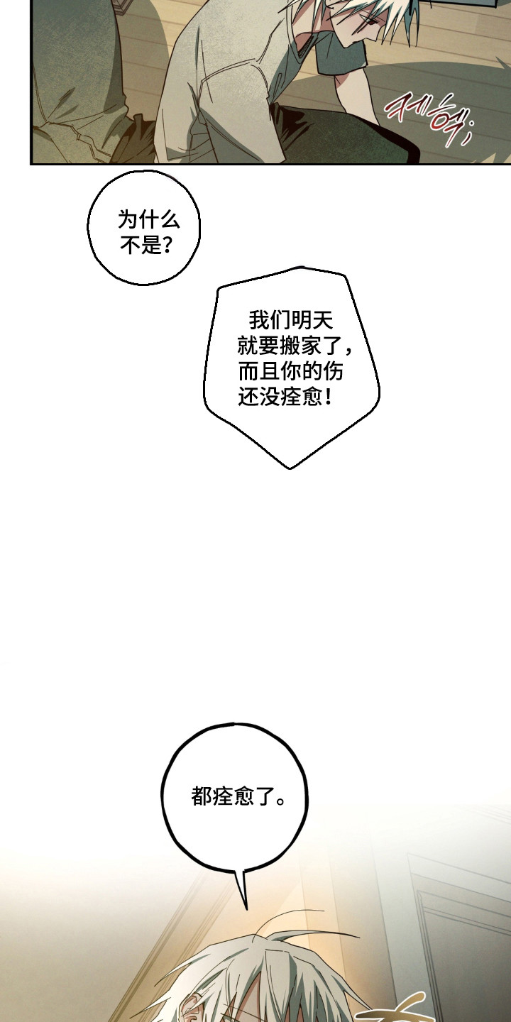 室友太虚伪漫画,第60章：搬家准备3图