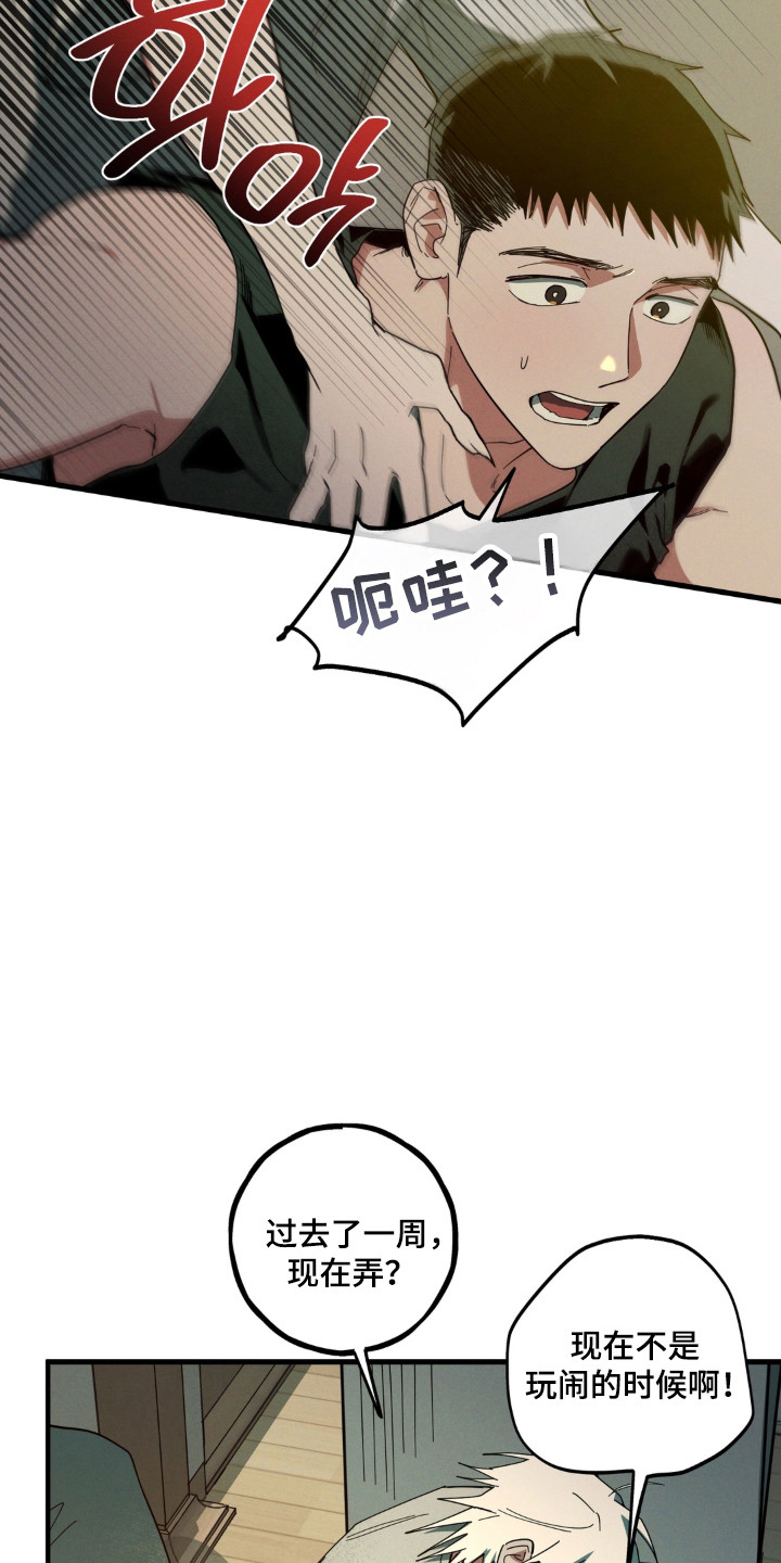 室友太虚伪漫画,第60章：搬家准备2图