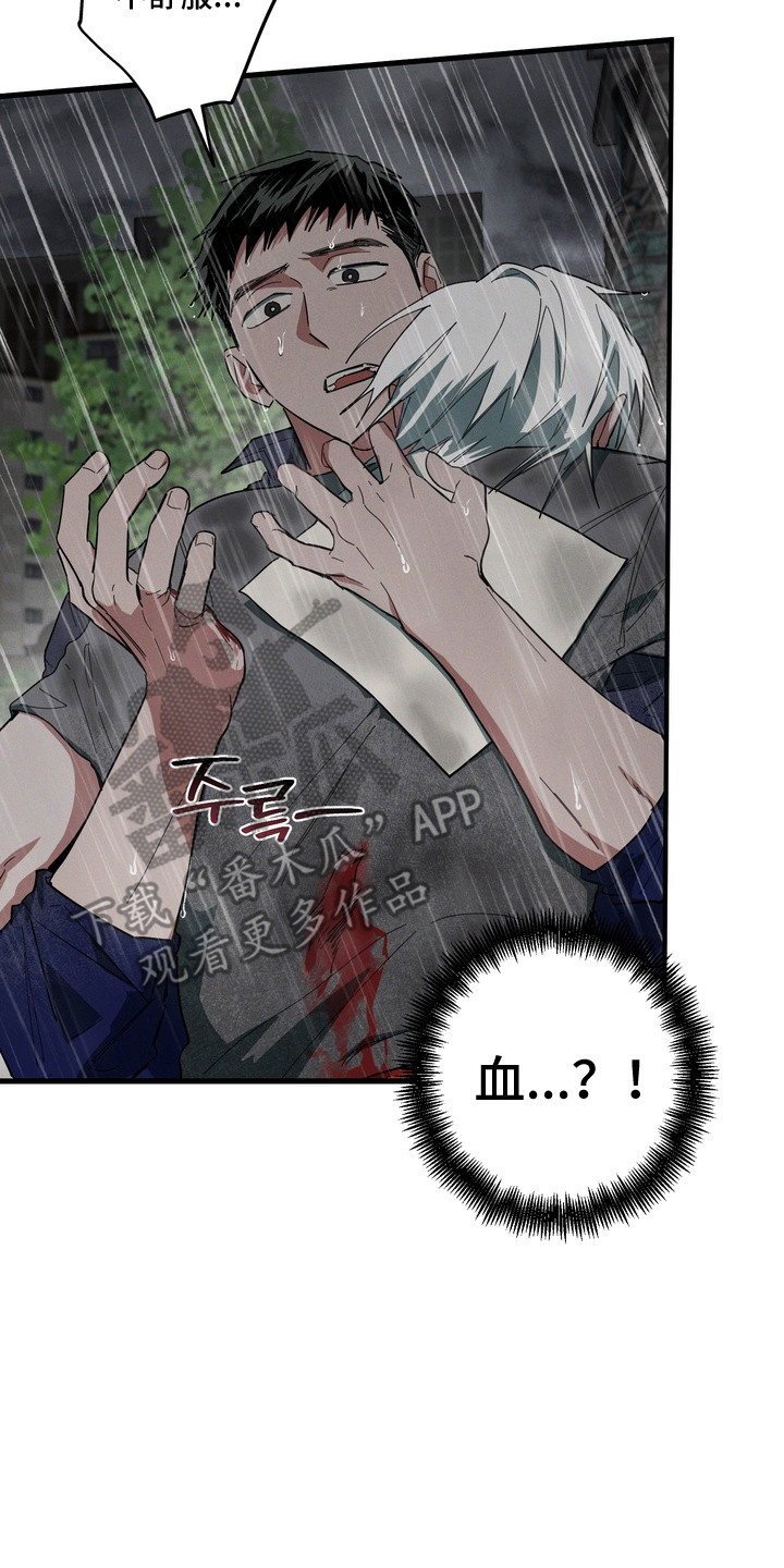 平行世界室友漫画,第53章：寻找替身2图