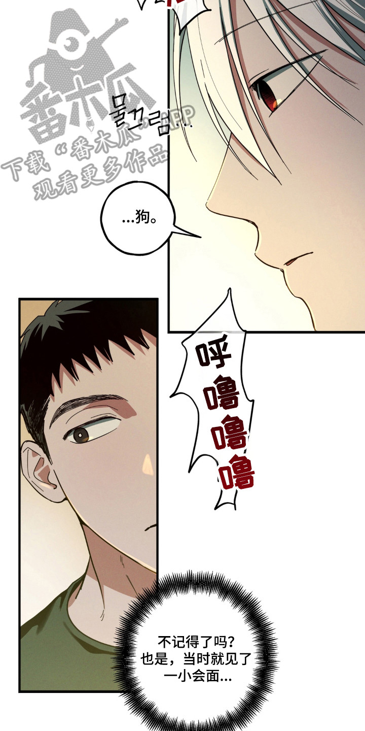 室友太虚伪漫画,第60章：搬家准备4图