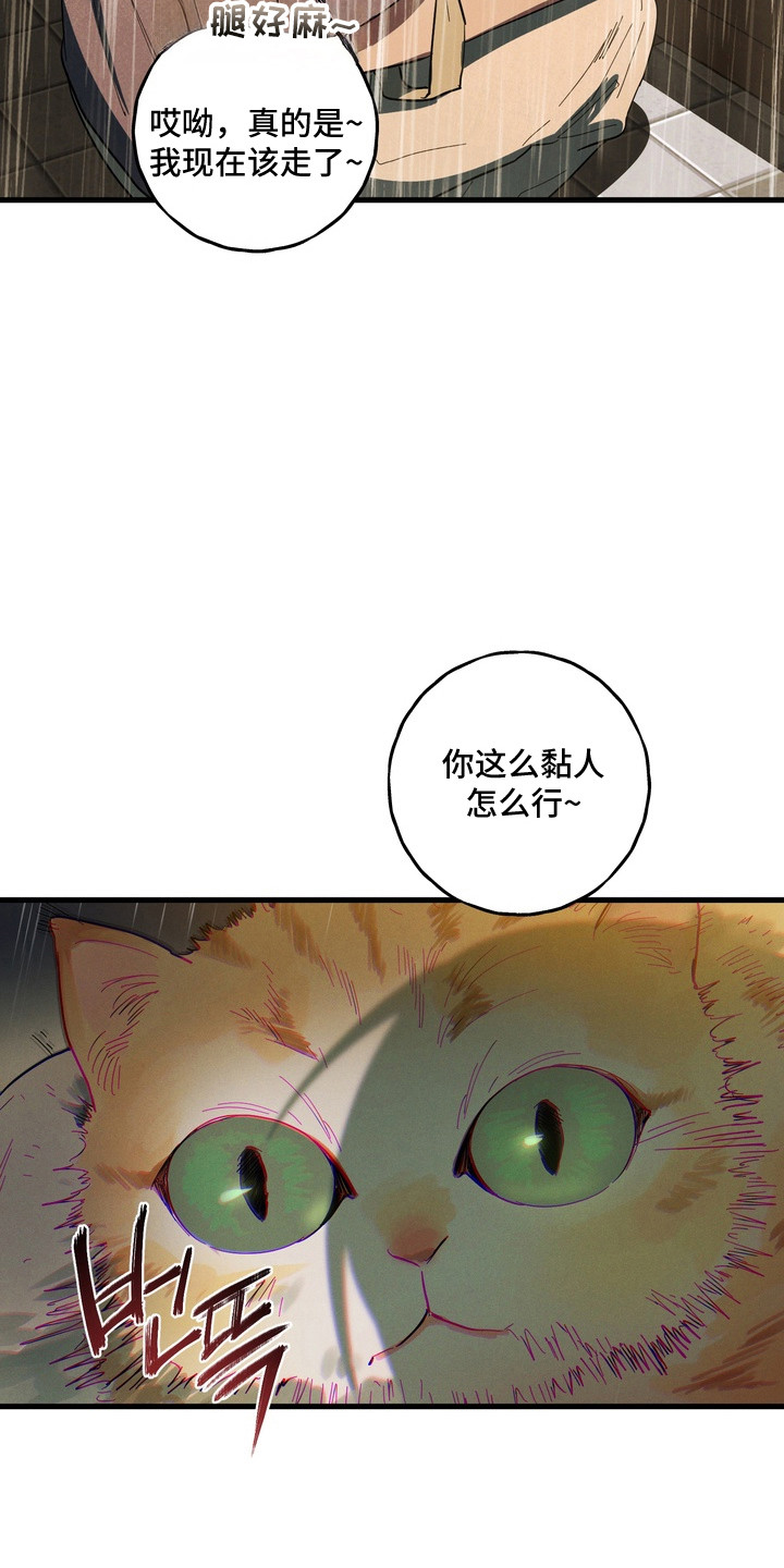 平行世界室友漫画,第53章：寻找替身3图