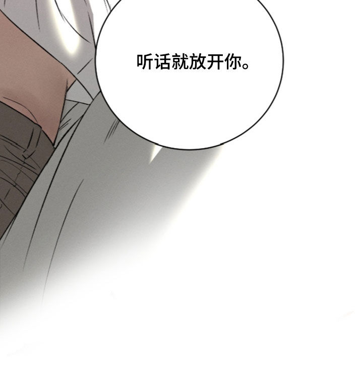 致命伪装漫画,第63章：听话就放开你4图