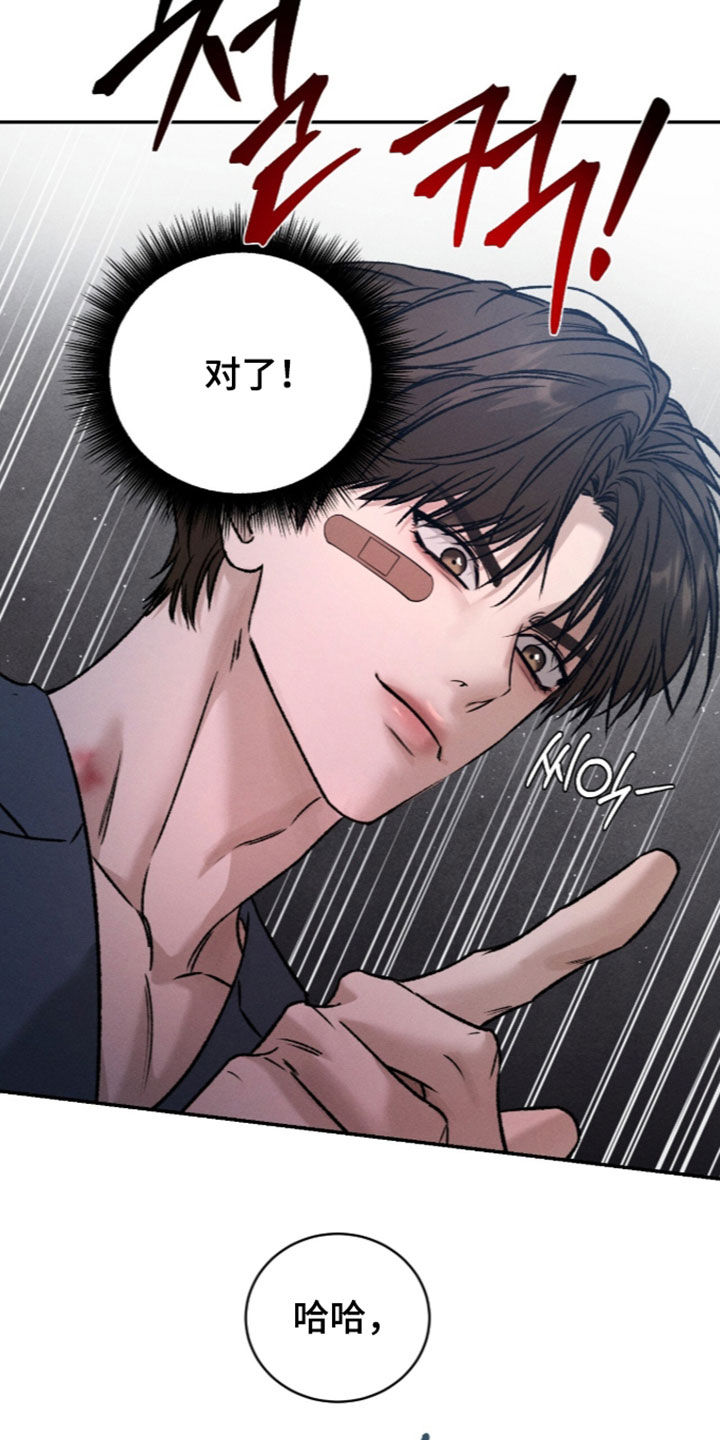 致命伪装漫画,第67章：成功了一半4图