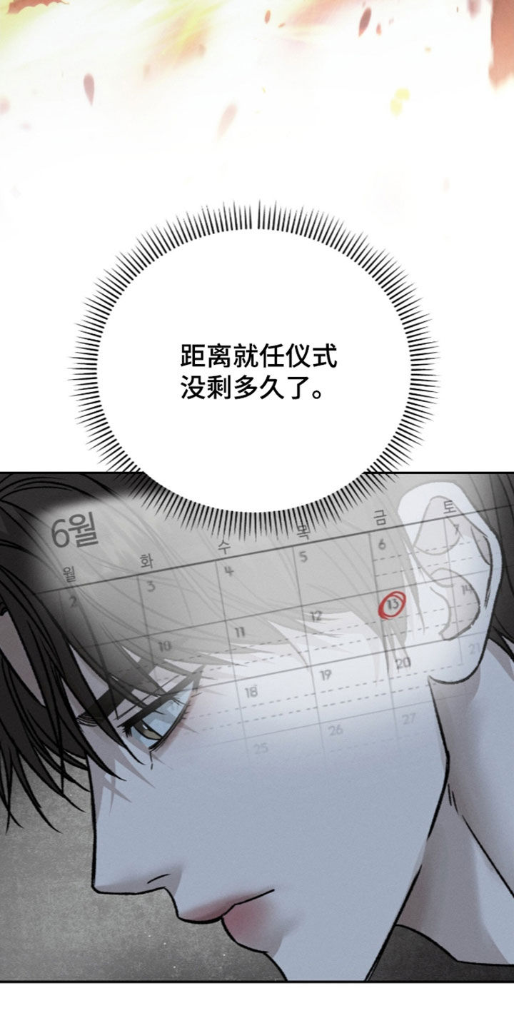 致命伪装漫画,第67章：成功了一半3图