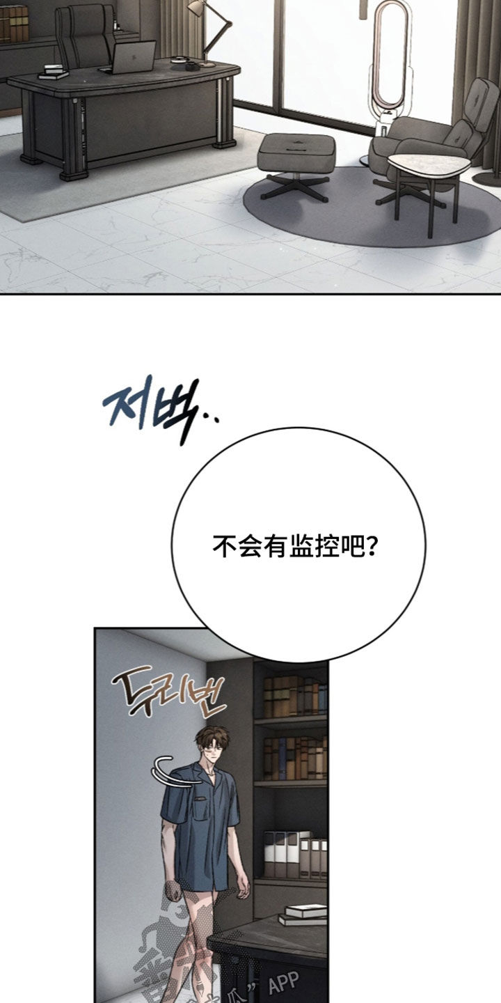 致命伪装漫画,第67章：成功了一半4图