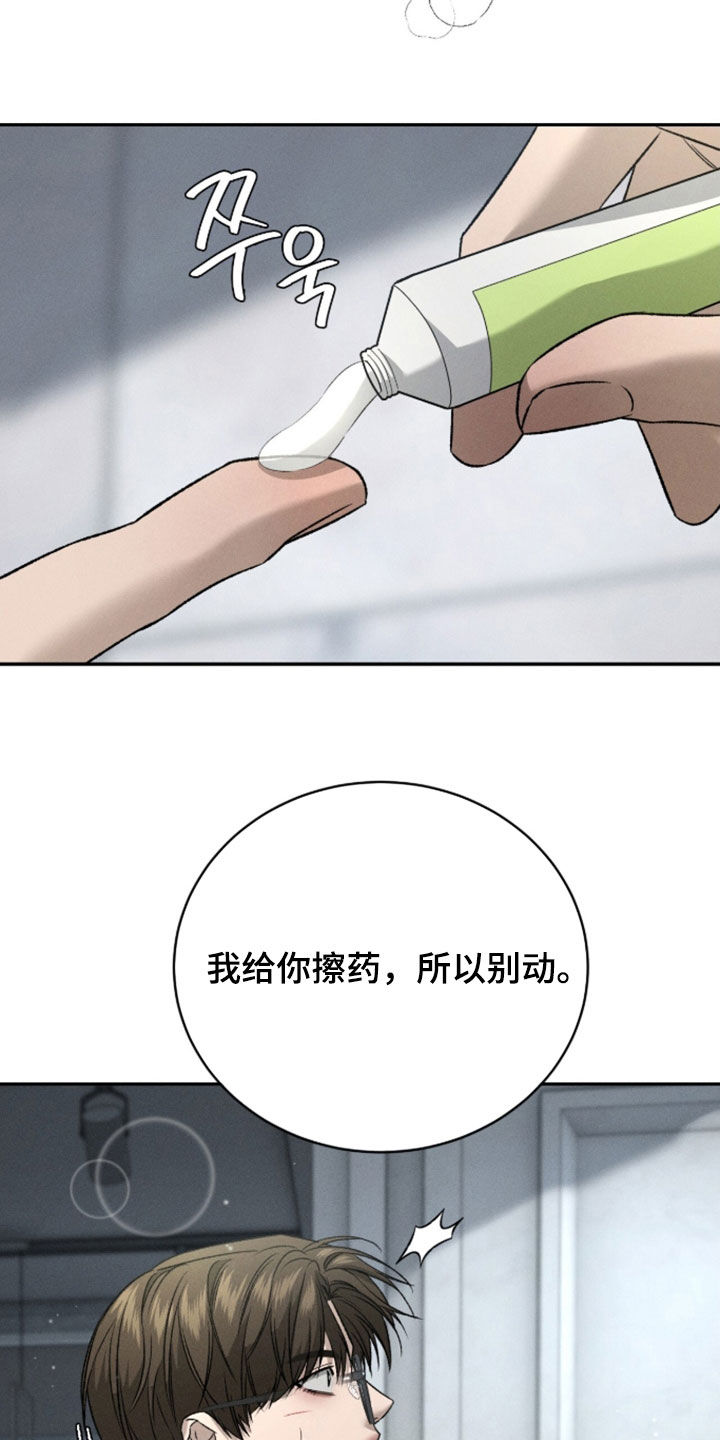 致命伪装完整版观看漫画,第57章：密谋2图