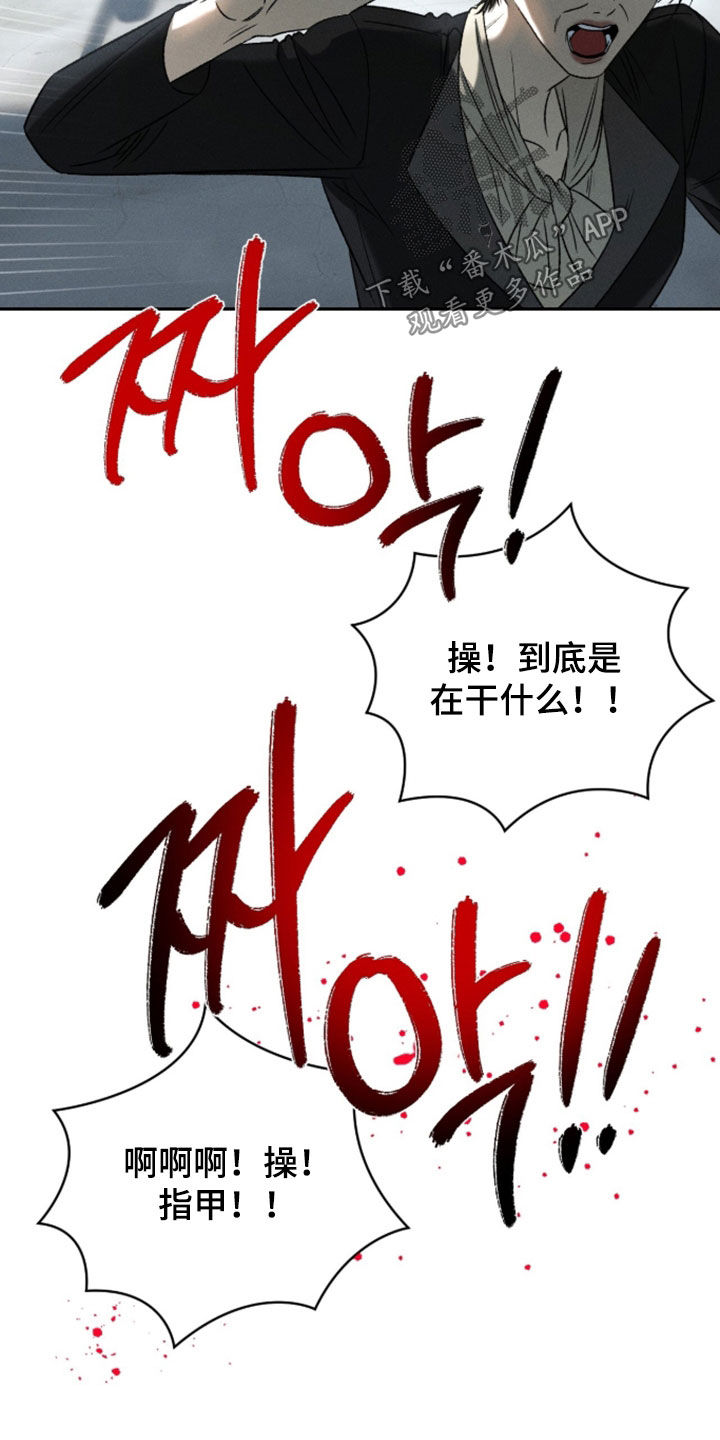 致命伪装全集播放漫画,第57章：密谋5图