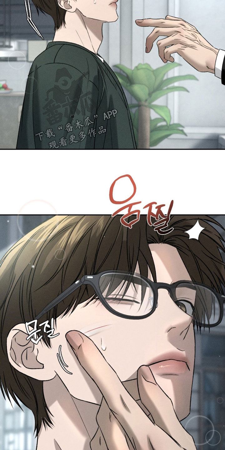 致命伪装完整版观看漫画,第57章：密谋3图