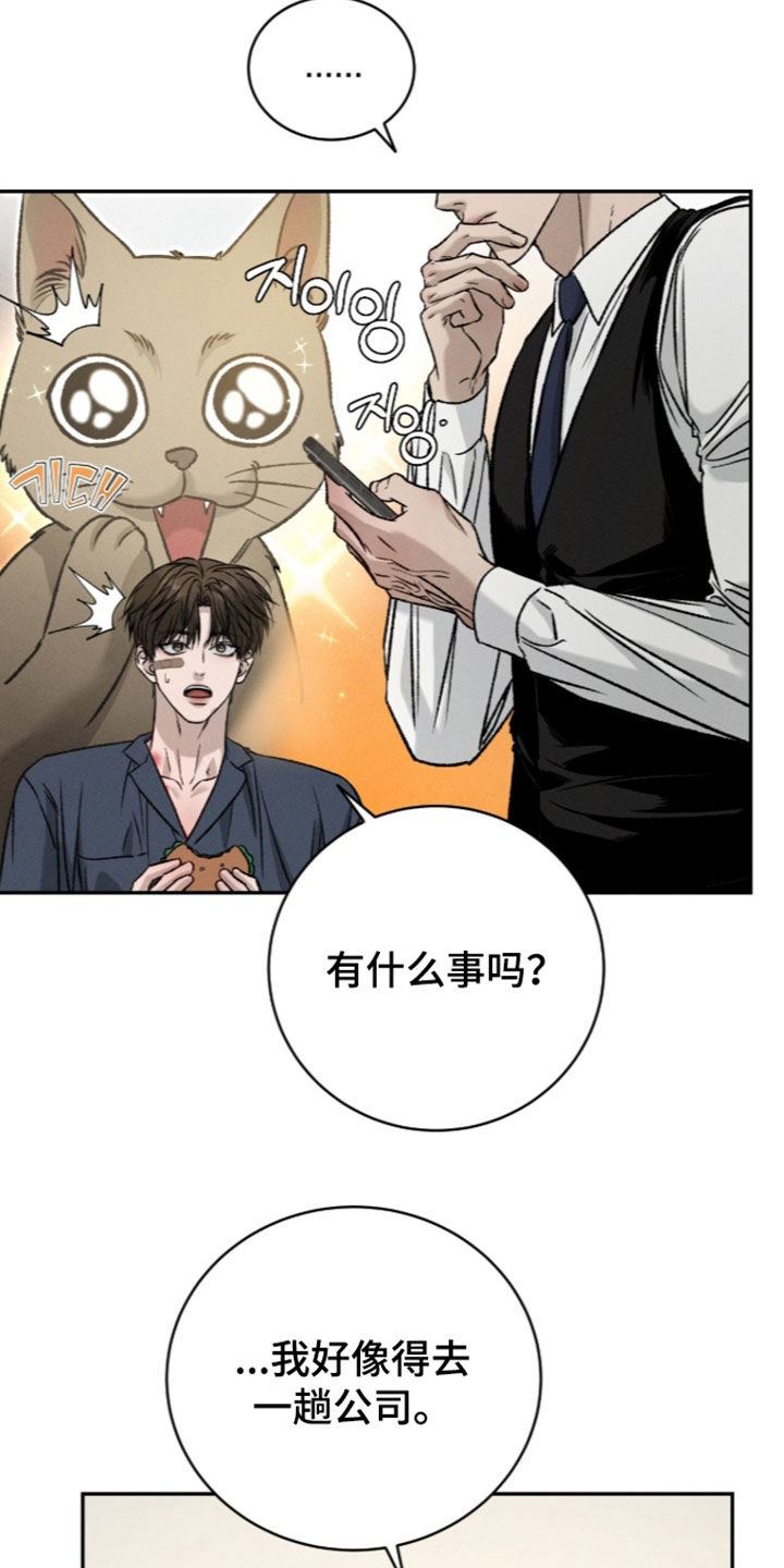 致命伪装漫画,第68章：逃过一劫5图