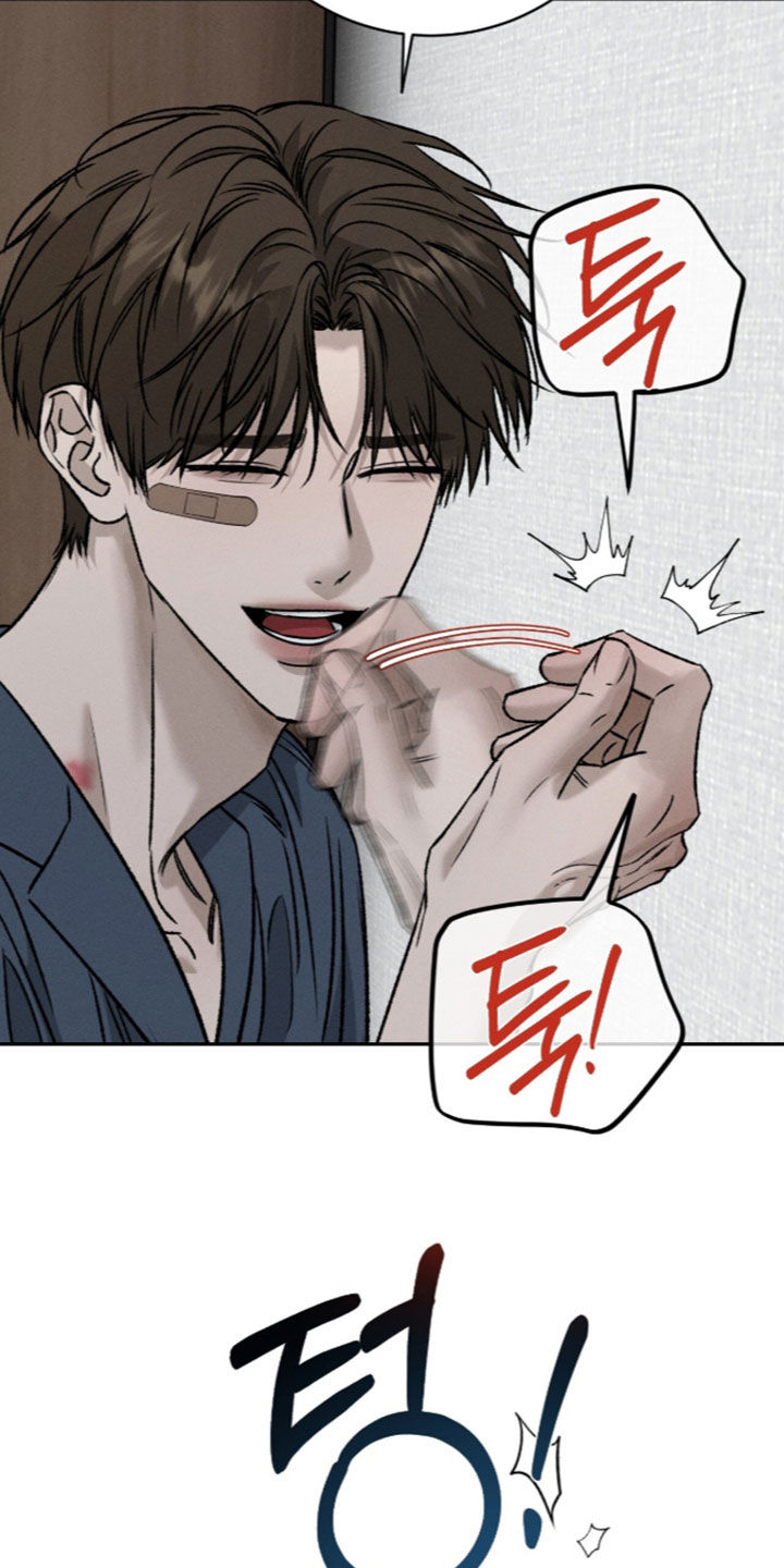 致命伪装漫画,第67章：成功了一半5图