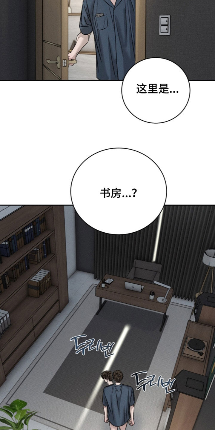 致命伪装漫画,第67章：成功了一半5图