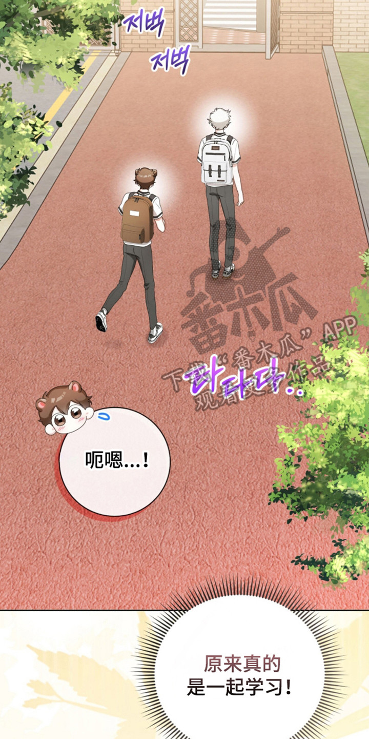 猛兽勿近小说名在哪里看漫画,第66章：一起学习3图